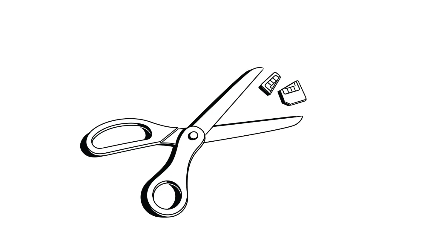 What To Do With an Old SIM Card (Don't Throw It Out!)